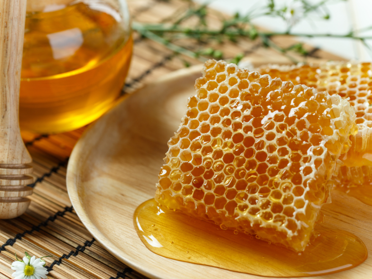 Прайс меда. Соты пчелиные. Мёд в сотах. Медовые соты. Соты меда.